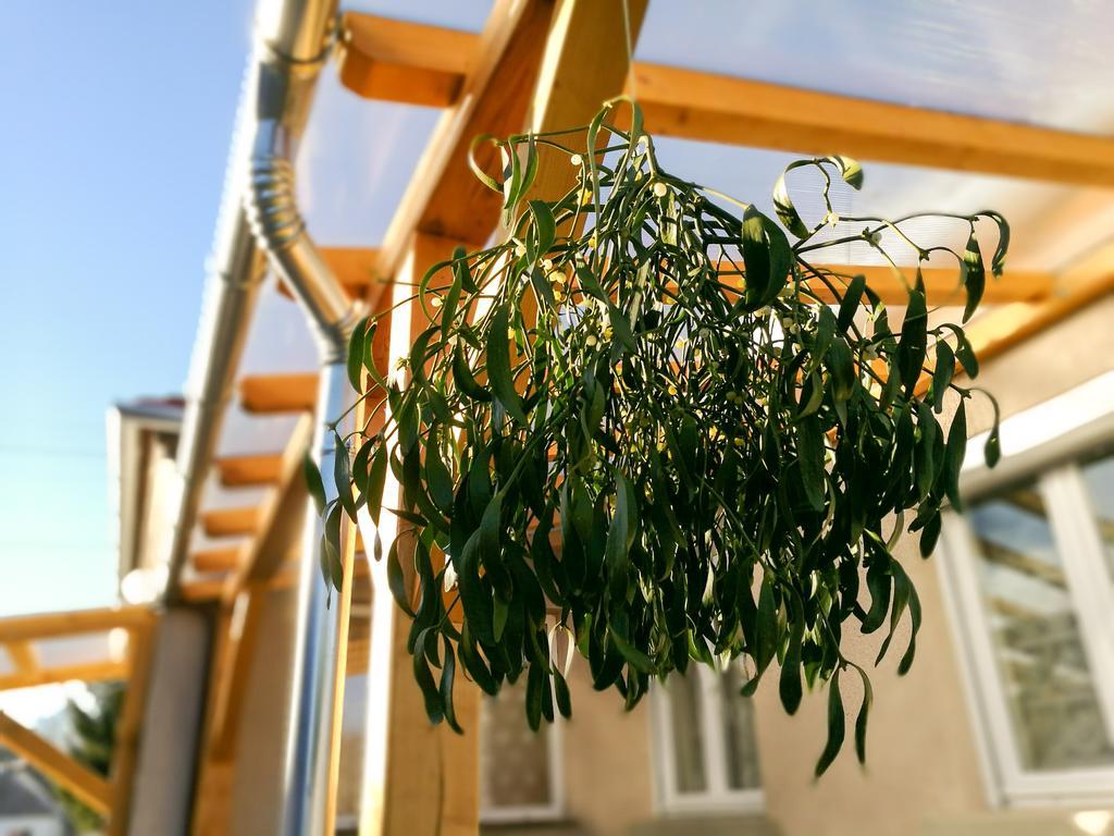 Fagyoengy Apartment Sarvar Luaran gambar
